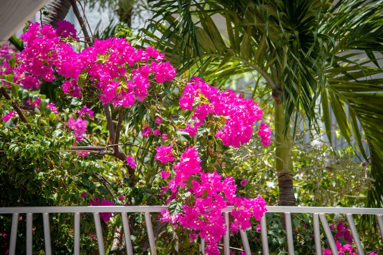 Grand Case Beach Club المظهر الخارجي الصورة